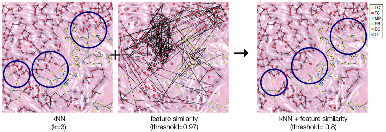 KNN and Feature Map graphs