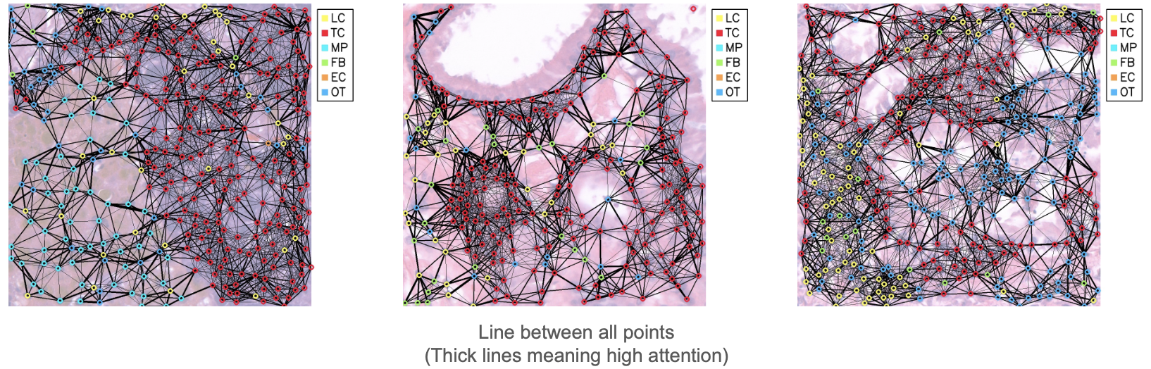 Final Attention Map showing connections between relevant cells