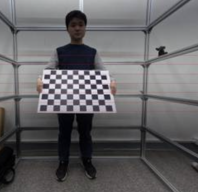 Digital Human Reconstruction